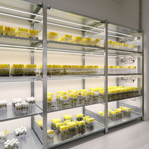 Invitro growth chambers at the university of Liège
