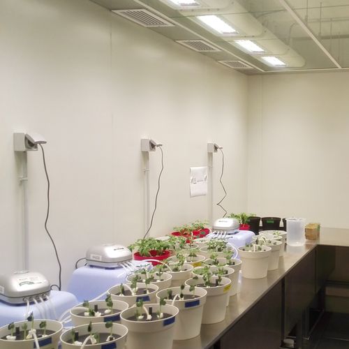 Indoor Horticulture LED Lighting for Research