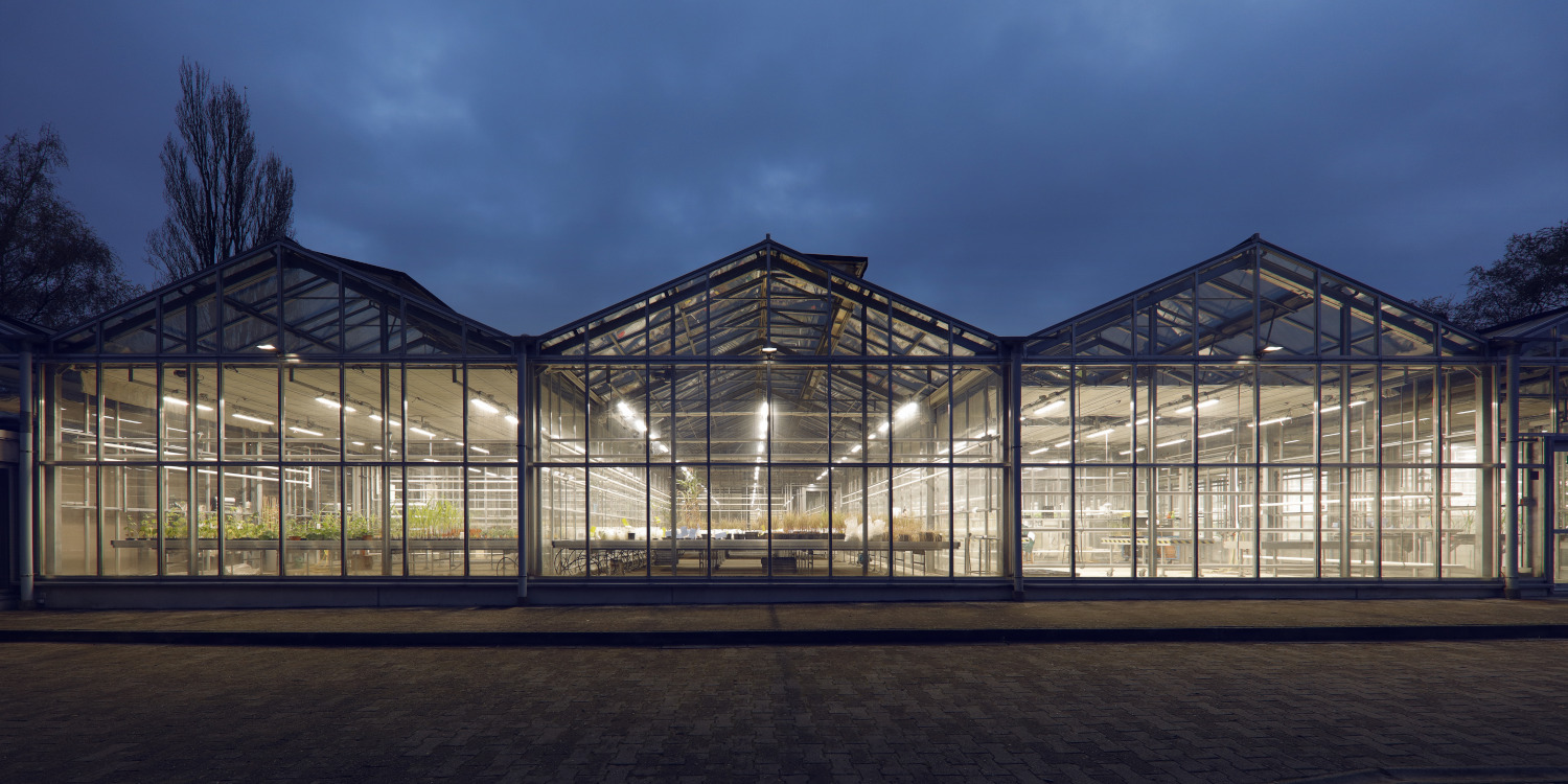 Horticulture Lighting in Greenhouse